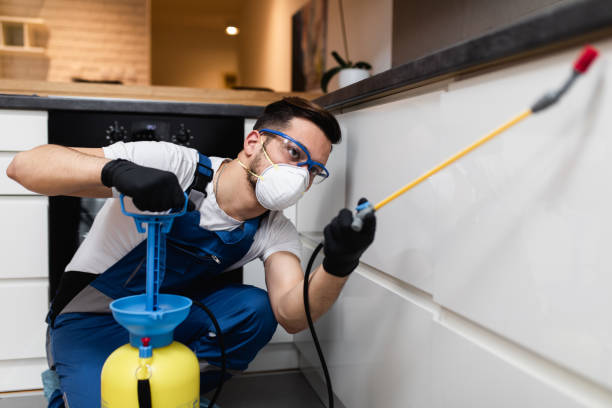 Best Bed Bug Extermination  in Melody Hill, IN