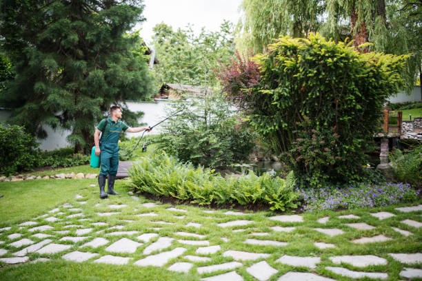 Best Commercial Pest Control Services  in Melody Hill, IN