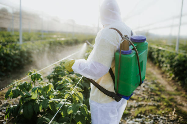 Best Pest Inspection Near Me  in Melody Hill, IN